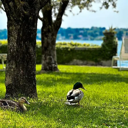 Luxury Lakeside Right On The Water * Salo
